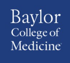 Baylor Logo